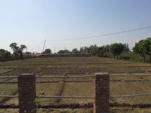 Construction & Real Estate Services (NH2 Hodal) - 5000 sqm Freehold Land, Clay Loam Soil | Development Ready, Prime Location, NH2 Access, Residential Zoning