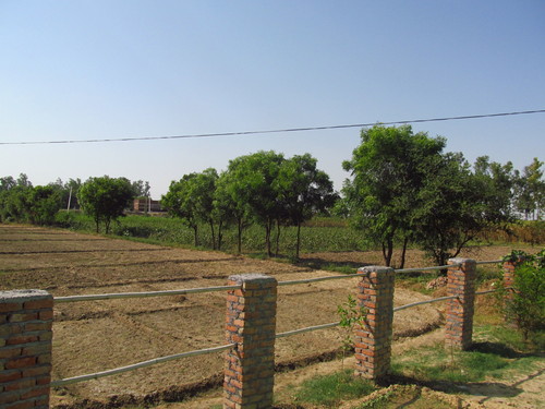 Construction & Real Estate Services (NH2 Hodal)