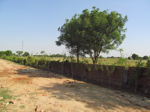 Construction & Real Estate Services (NH2 Hodal)