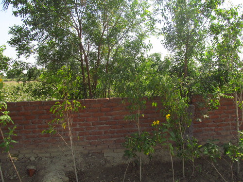 Construction & Real Estate Services (NH2 Hodal)