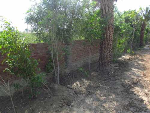 Construction & Real Estate Services (NH2 Hodal)