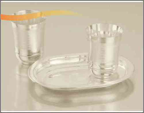 Glossy Silver Glass Serving Set