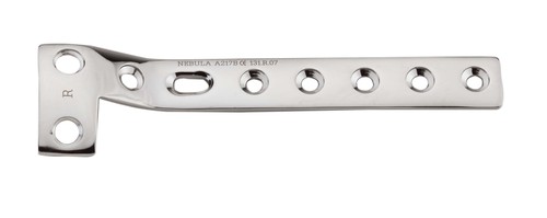 BUTTRESS  PLATE