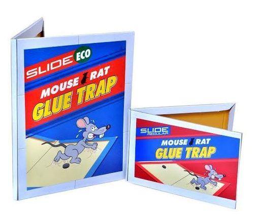 Mouse Trap Family