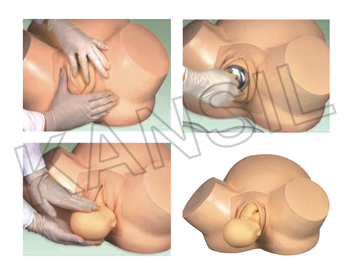Laboratory Vacuum Delivery Model