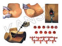 Gynecological Examination Model - Silicone, 15x10x5 In, Flesh-tone | Functions: Uterine Palpation, Pelvic Exams, Cervical Recognition, Contraceptive Practice