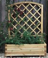 Garden Trellis