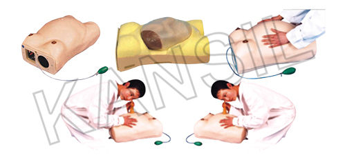 Maternity Examination Model