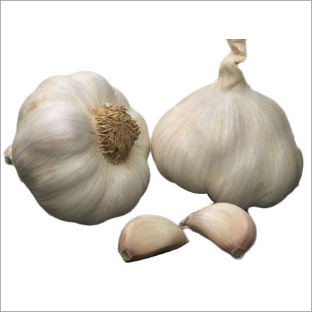 Organic Garlic - White Garlic Bulbs , Dried and Raw, Naturally Preserved, Peeled, Enriched with Vitamin B6 for Immune Support