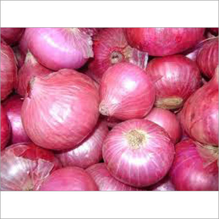 Fresh Onion