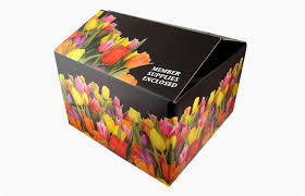 Offset Printed Corrugated Boxes - Corrugated Cardboard, Variable Dimensions, Multicolor | Lightweight, Sturdy, Durable, Hygienic Packing