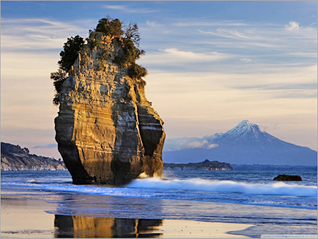 New Zealand Tour Packages