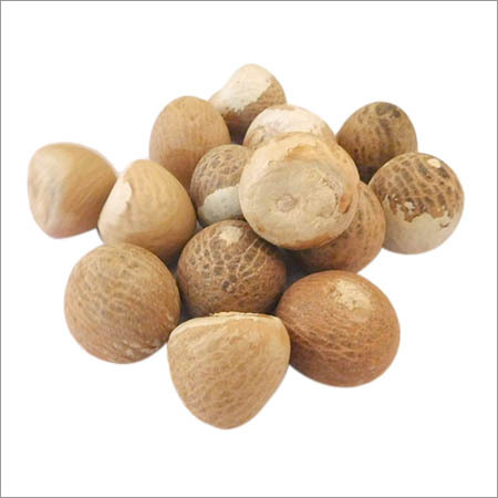 Whole Areca Nut