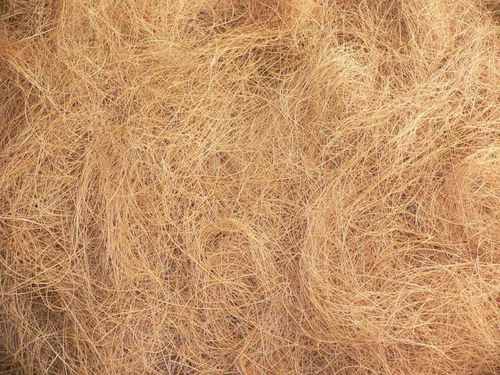 Coconut Coir Fibre