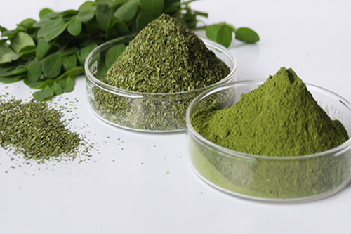 Moringa Leaf Extract Powder