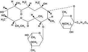 Erythromycin Stearate