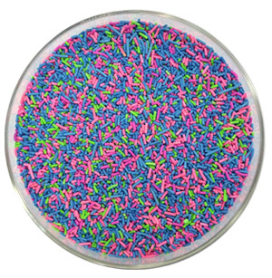 Detergent Enzymes
