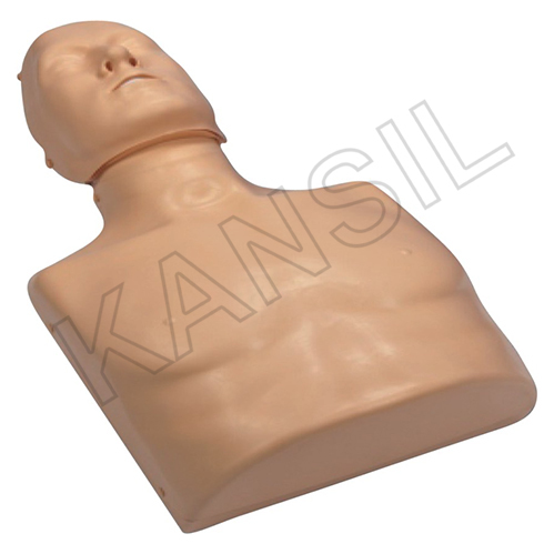 CPR Traing Mankin (Torso)