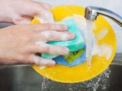 Detergent Cake Testing Services