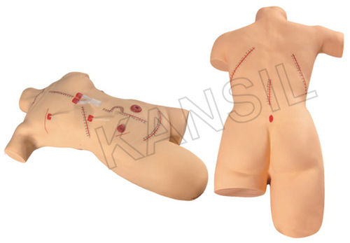 Surgical Suturing And Bandaging Simulator Model