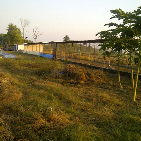 Vermicompost Organic Fertilizer Production