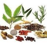 Herbal Products Testing Services