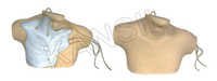 Central Bvenous Catheterization Simulator Model