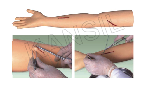 Advanced Surgical Suture Arm  Model