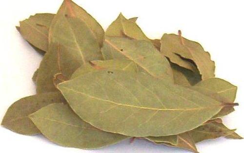 Dried Bay Leaves