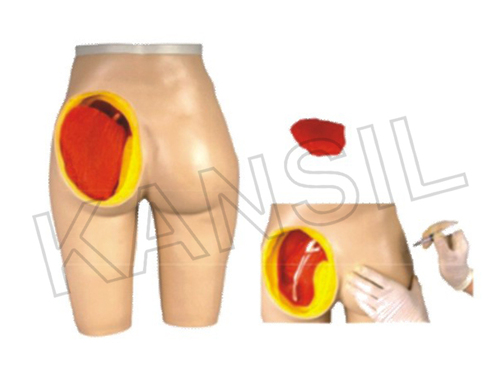Intramuscular Injection Training Manikin