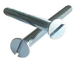 Slotted Screw