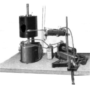 MUSCLE TWITCH ASSEMBLY