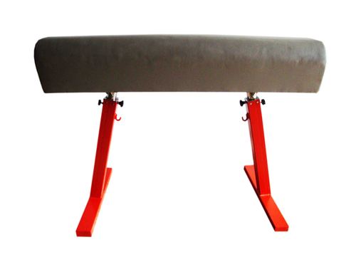 Vaulting Horse