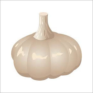 White Garlic