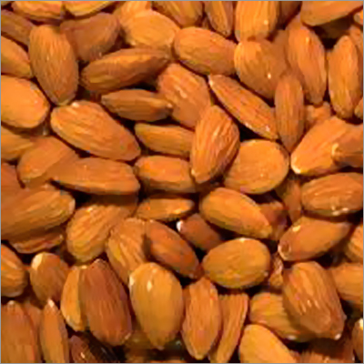 Almond Nut
