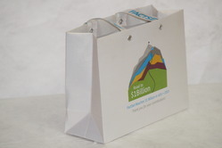 Metalic Board Bags With Colorful Printing