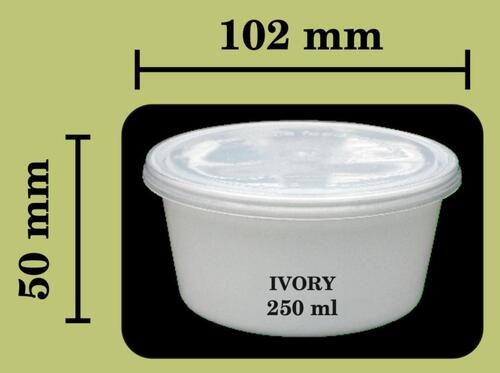 250 ML Disposable Plastic Container