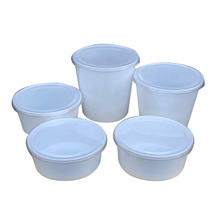 Disposable Plastic Food Container By R K SYSTEMS