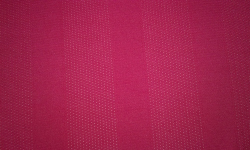 Striped Mesh Fabric
