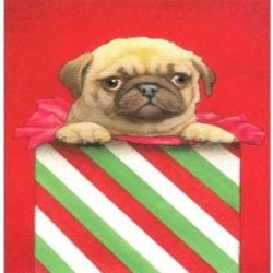 Greeting Cards Printing	
