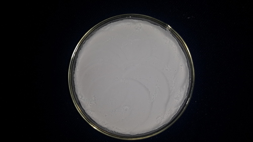 1,5 Diphenyl Carbazide