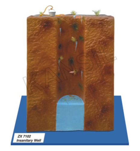 Insanitary Well Model