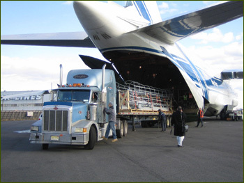 Air Cargo Clearing Agent