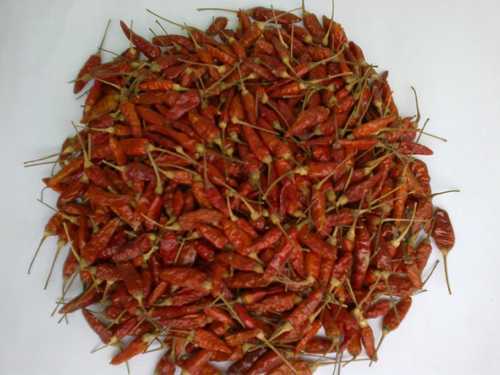 Sodai Chillies