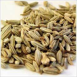 Organic Fennel Seeds