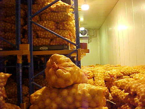 Onion Cold Storage Usage: Industrial