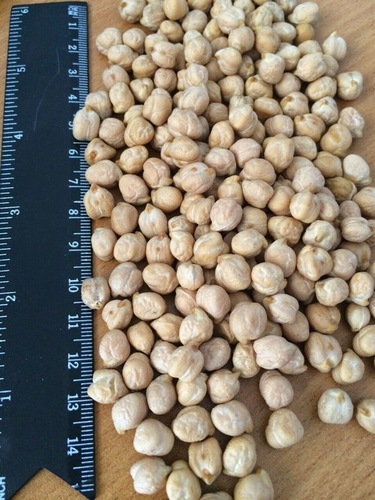 Chick Peas