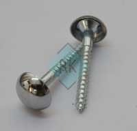 Brass Round Mirror Screw With Cap