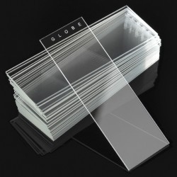 Plain Slides