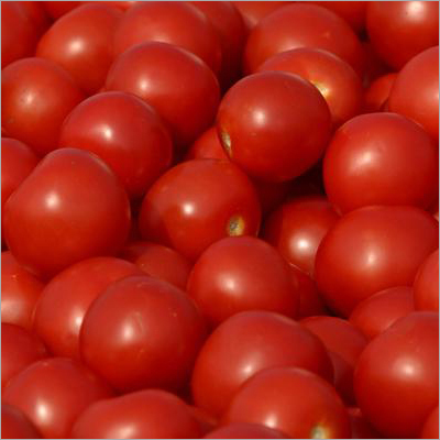 Fresh Tomato